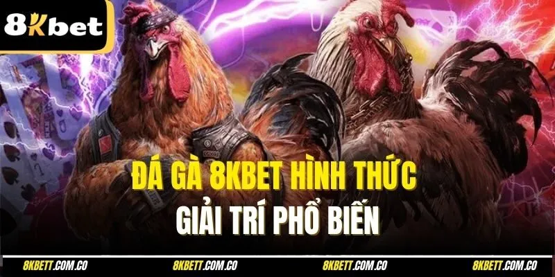 Đá gà 8kbet hình thức giải trí phổ biến