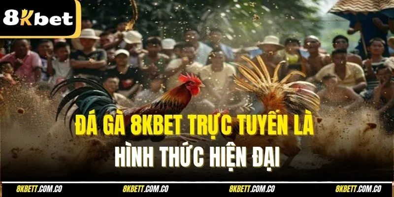 Đá gà 8kbet trực tuyến là hình thức hiện đại