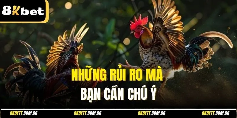 Những rủi ro mà bạn cần chú ý