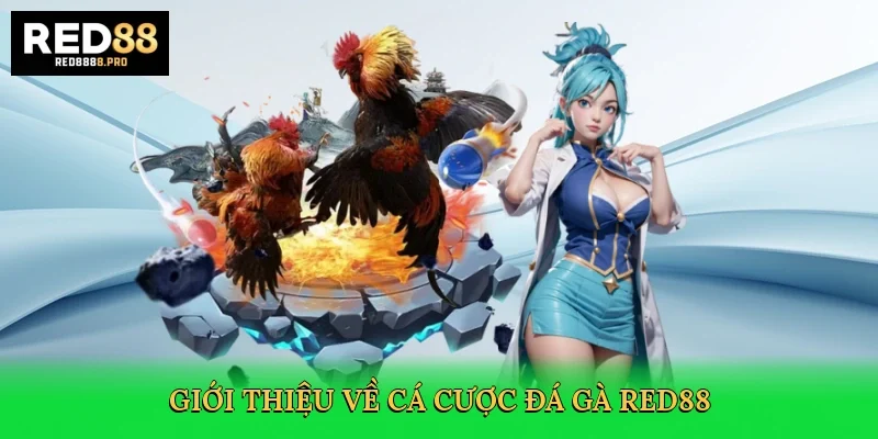 gioi-thieu-ve-ca-cuoc-da-ga-red88-2