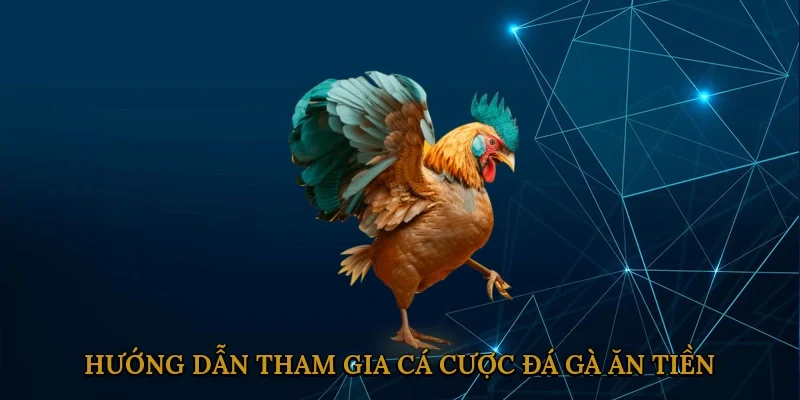 huong-dan-tham-gia-ca-cuoc-da-ga-an-tien-2