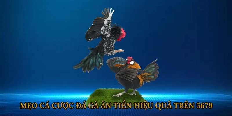 meo-ca-cuoc-da-ga-an-tien-hieu-qua-tren-5679-3