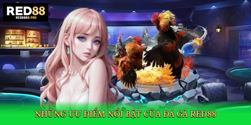 nhung-uu-diem-noi-bat-cua-da-ga-red88-3
