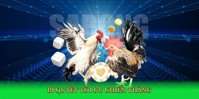 Bí quyết tối ưu chiến thắng