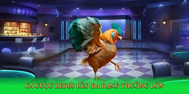 Cá cược RED88 kèo đa dạng thưởng lớn