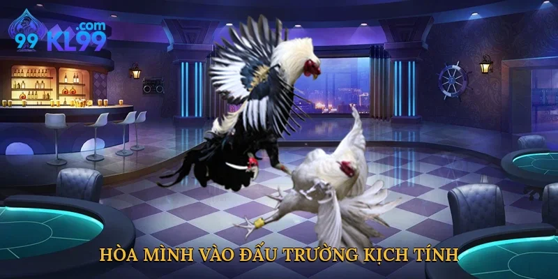 Hòa mình vào đấu trường kịch tính