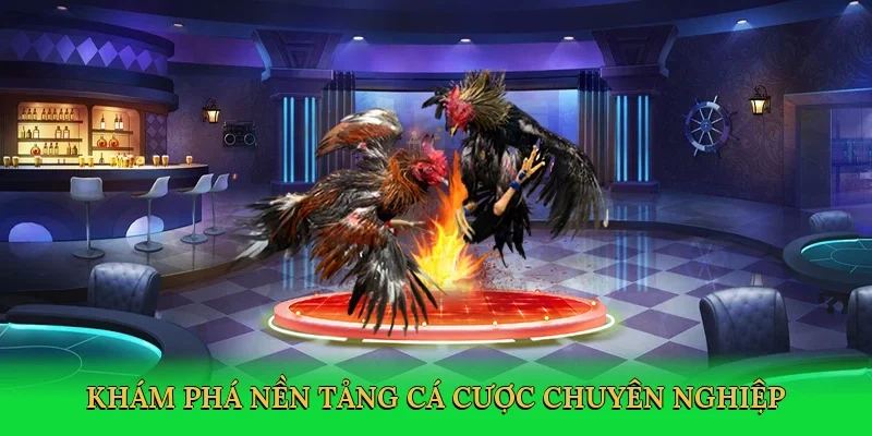 Khám phá nền tảng cá cược chuyên nghiệp