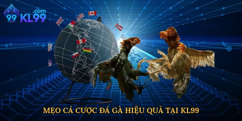 Mẹo cá cược đá gà hiệu quả tại KL99