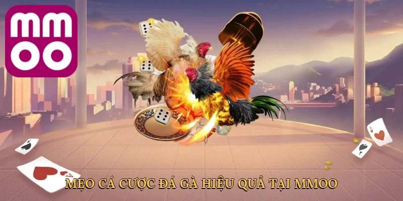 Mẹo cá cược đá gà hiệu quả tại MMOO