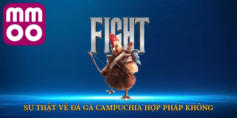 Khám phá sự thật về đá gà Campuchia hợp pháp không tại MMOO