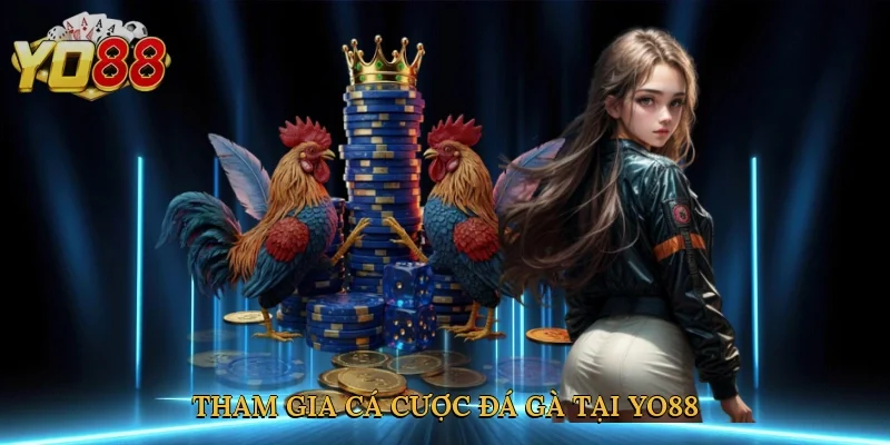 Tham gia cá cược đá gà tại Yo88