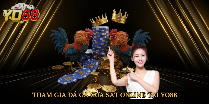 Tham gia đá gà cựa sắt online tại Yo88