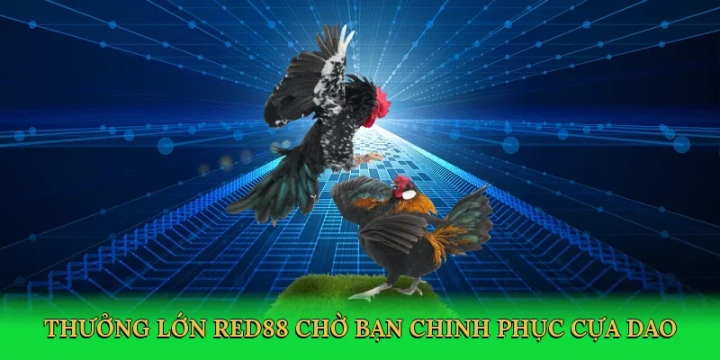 Thưởng lớn RED88 chờ bạn chinh phục cựa dao